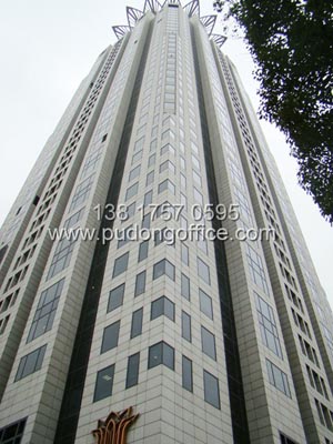 �➩�����Ϻ��S���̄�(w��)���ģ��Ϻ��S�ַ���(w��)ʽ�k���ң�